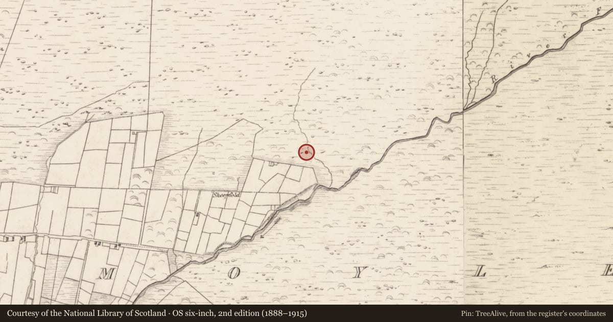 Ordnance Survey six-inch map, 2nd edition (1888–1915) covering the location of Hut site, Teeromoyle, County Kerry, with a pin at the register's coordinates