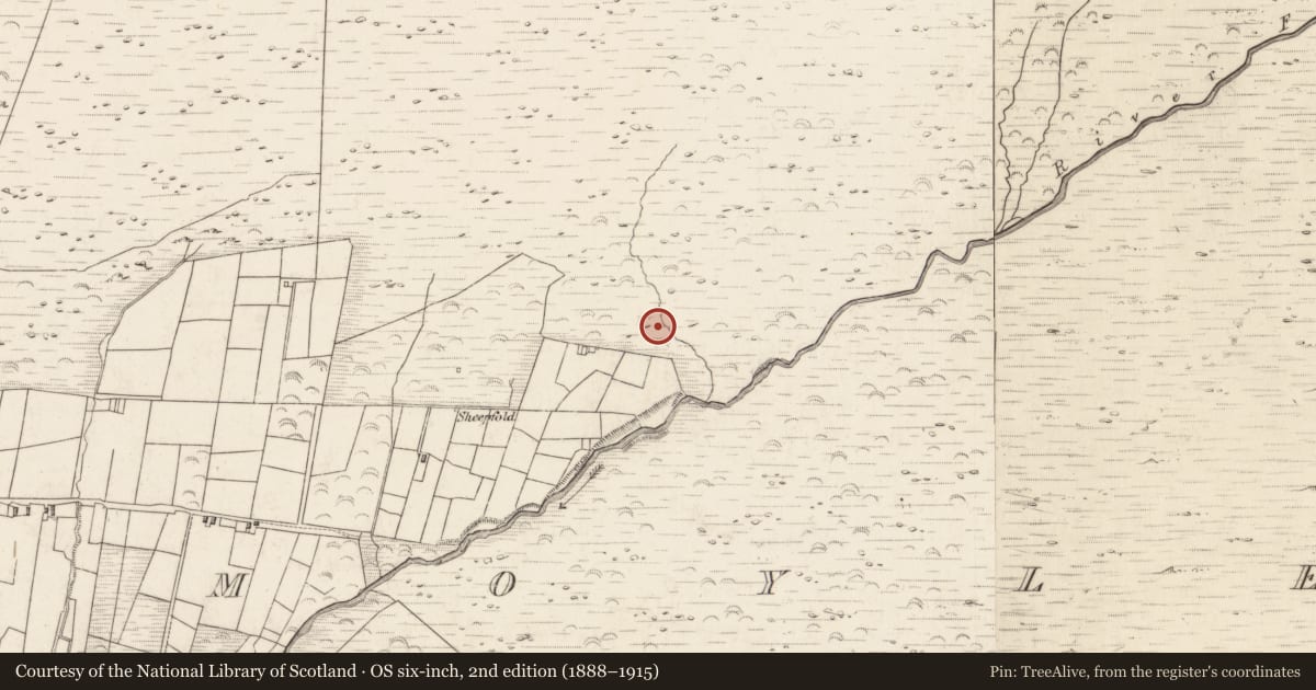 Ordnance Survey six-inch map, 2nd edition (1888–1915) covering the location of Hut site, Teeromoyle, County Kerry, with a pin at the register's coordinates