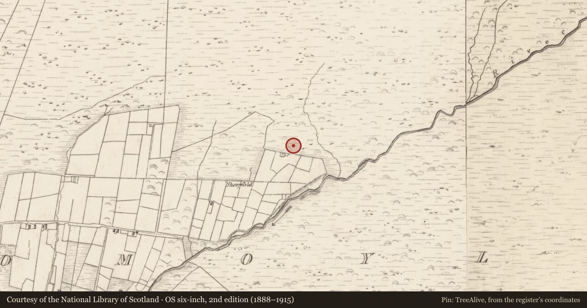 Ordnance Survey six-inch map, 2nd edition (1888–1915) covering the location of Hut site, Teeromoyle, County Kerry, with a pin at the register's coordinates
