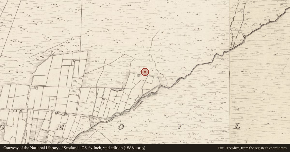 Ordnance Survey six-inch map, 2nd edition (1888–1915) covering the location of Hut site, Teeromoyle, County Kerry, with a pin at the register's coordinates