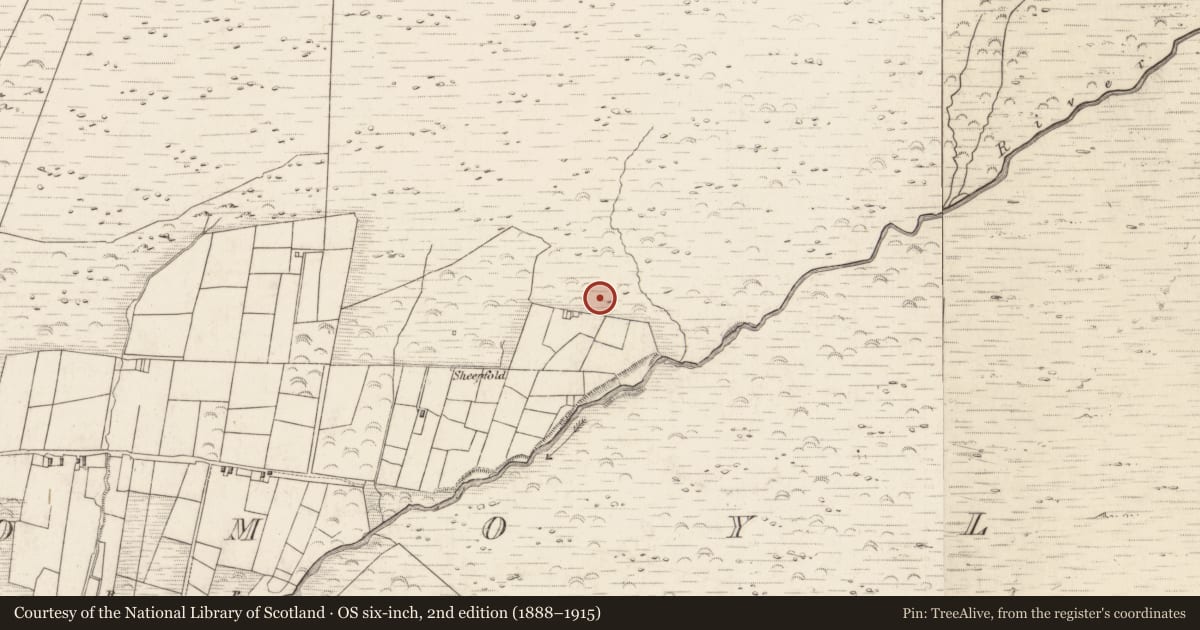 Ordnance Survey six-inch map, 2nd edition (1888–1915) covering the location of Hut site, Teeromoyle, County Kerry, with a pin at the register's coordinates