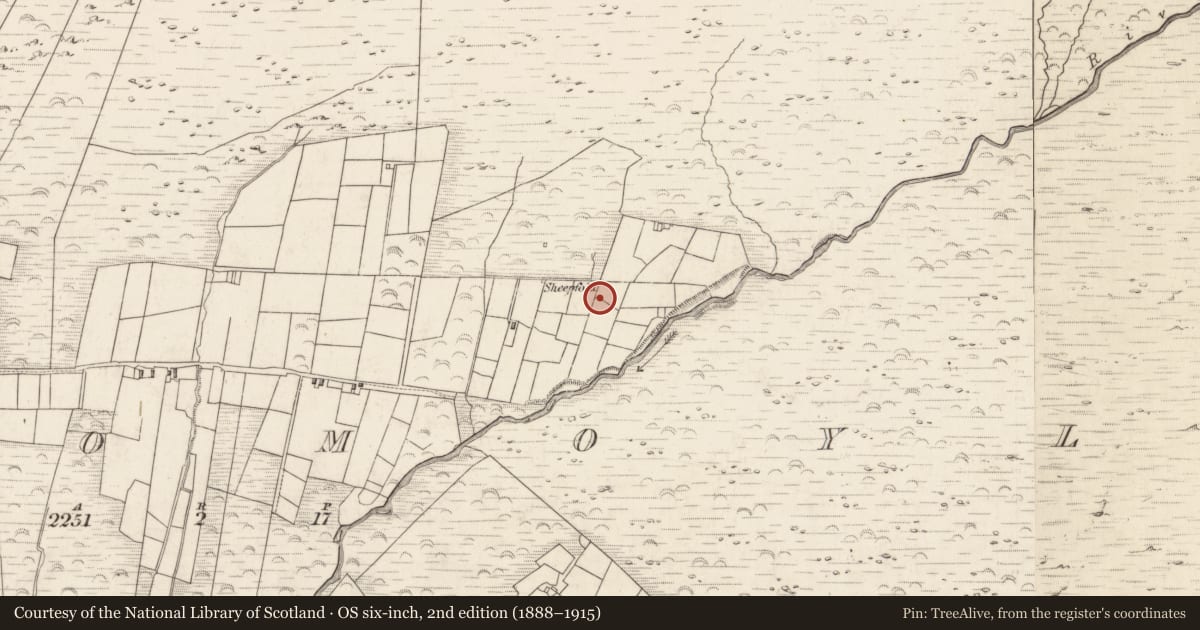 Ordnance Survey six-inch map, 2nd edition (1888–1915) covering the location of Hut site, Teeromoyle, County Kerry, with a pin at the register's coordinates