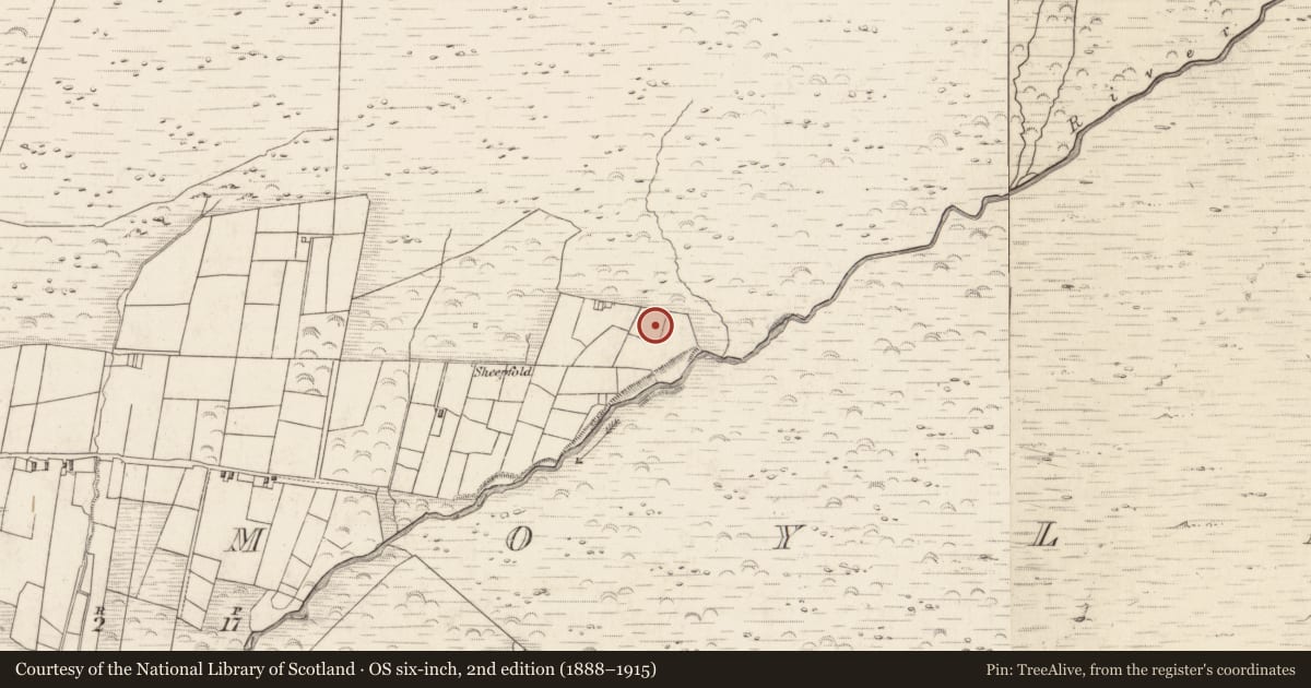 Ordnance Survey six-inch map, 2nd edition (1888–1915) covering the location of Hut site, Teeromoyle, County Kerry, with a pin at the register's coordinates