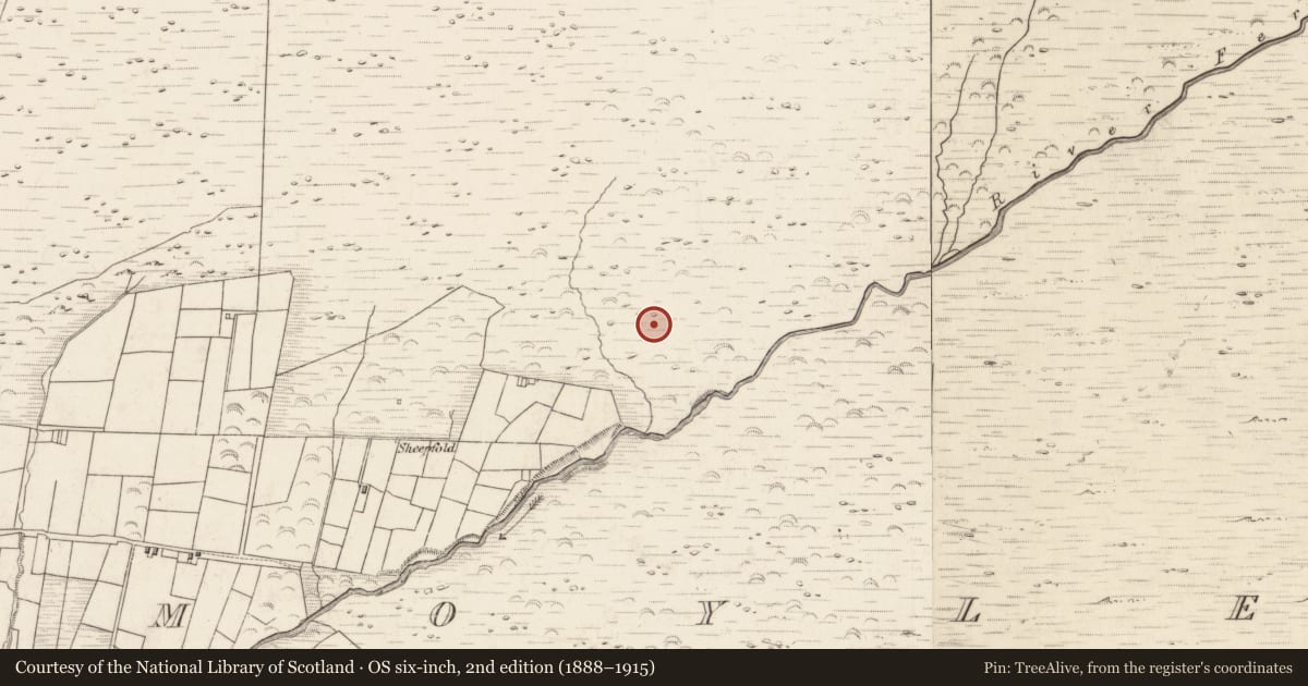 Ordnance Survey six-inch map, 2nd edition (1888–1915) covering the location of Hut site, Teeromoyle, County Kerry, with a pin at the register's coordinates