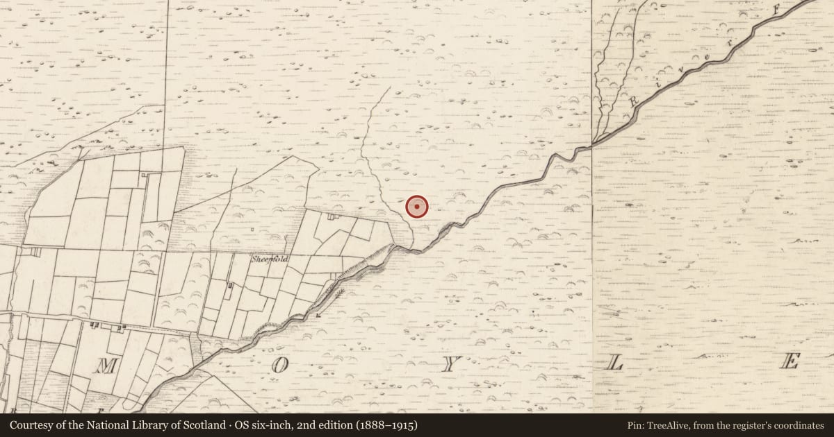 Ordnance Survey six-inch map, 2nd edition (1888–1915) covering the location of Hut site, Teeromoyle, County Kerry, with a pin at the register's coordinates
