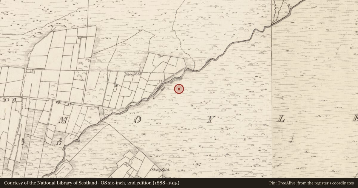 Ordnance Survey six-inch map, 2nd edition (1888–1915) covering the location of Hut site, Teeromoyle, County Kerry, with a pin at the register's coordinates