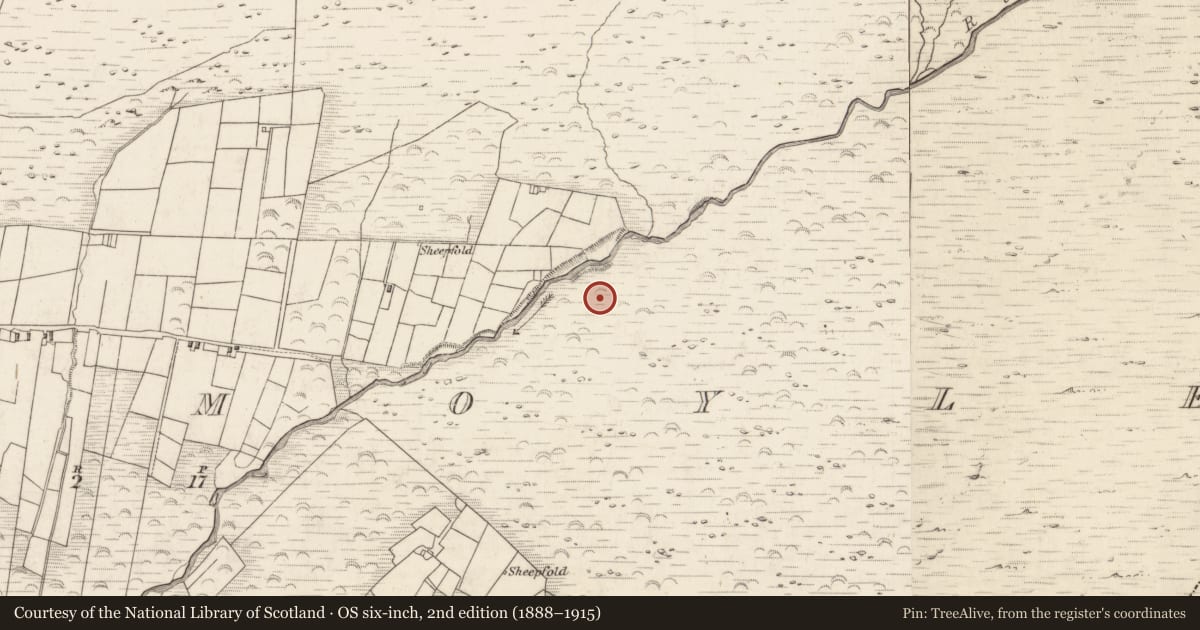 Ordnance Survey six-inch map, 2nd edition (1888–1915) covering the location of Enclosure, Teeromoyle, County Kerry, with a pin at the register's coordinates