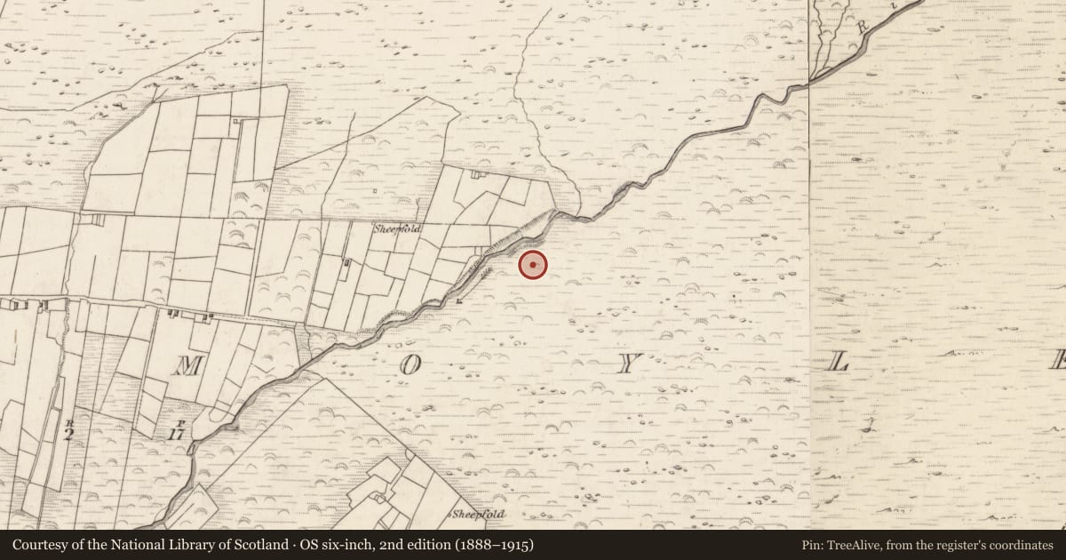 Ordnance Survey six-inch map, 2nd edition (1888–1915) covering the location of Sheepfold, Teeromoyle, County Kerry, with a pin at the register's coordinates