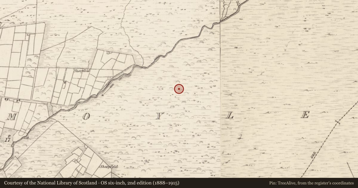Ordnance Survey six-inch map, 2nd edition (1888–1915) covering the location of Hut site, Teeromoyle, County Kerry, with a pin at the register's coordinates