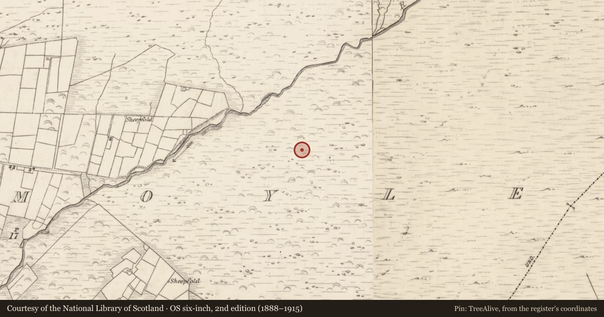 Ordnance Survey six-inch map, 2nd edition (1888–1915) covering the location of Hut site, Teeromoyle, County Kerry, with a pin at the register's coordinates