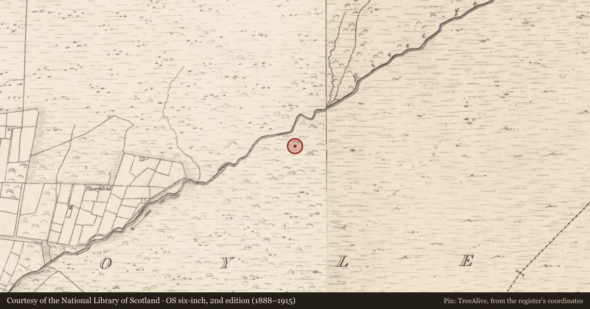 Ordnance Survey six-inch map, 2nd edition (1888–1915) covering the location of Hut site, Teeromoyle, County Kerry, with a pin at the register's coordinates