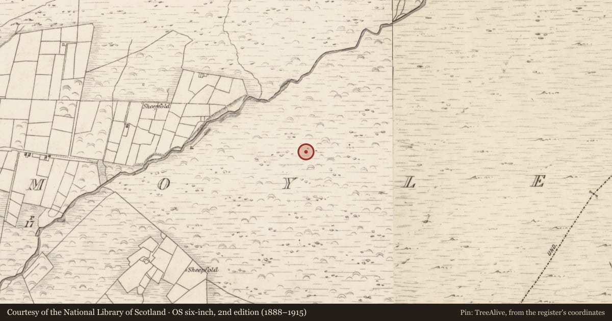 Ordnance Survey six-inch map, 2nd edition (1888–1915) covering the location of Field boundary, Teeromoyle, County Kerry, with a pin at the register's coordinates