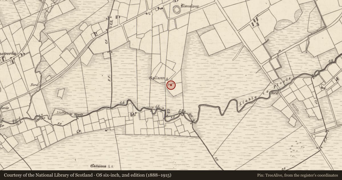 Ordnance Survey six-inch map, 2nd edition (1888–1915) covering the location of Enclosure, Boulerdah, County Kerry, with a pin at the register's coordinates