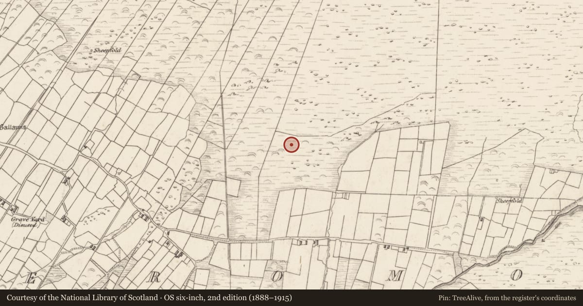 Ordnance Survey six-inch map, 2nd edition (1888–1915) covering the location of Rock art, Teeromoyle, County Kerry, with a pin at the register's coordinates