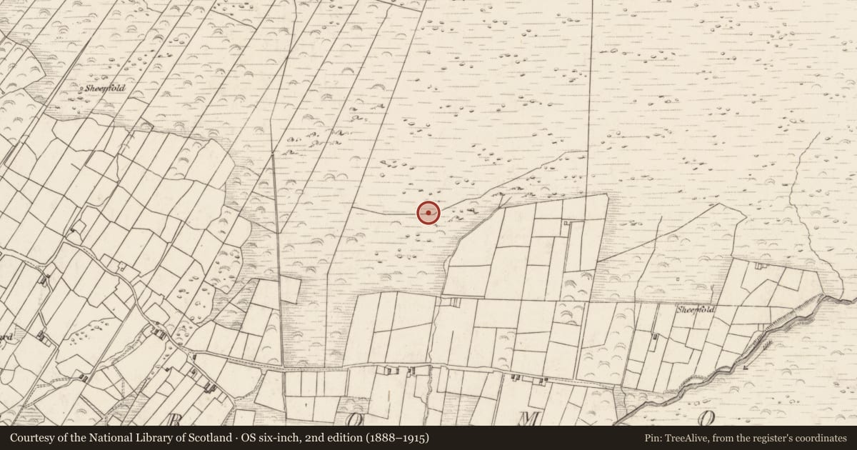 Ordnance Survey six-inch map, 2nd edition (1888–1915) covering the location of Rock art, Teeromoyle, County Kerry, with a pin at the register's coordinates