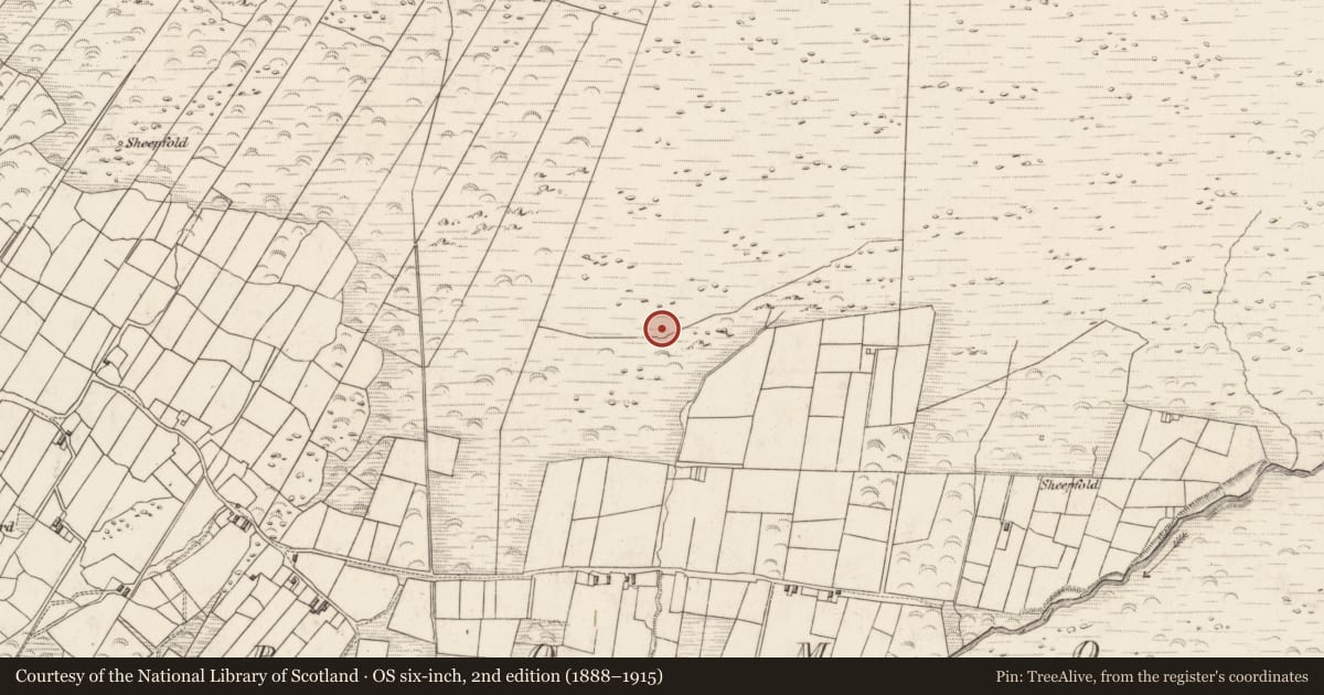 Ordnance Survey six-inch map, 2nd edition (1888–1915) covering the location of Rock art, Teeromoyle, County Kerry, with a pin at the register's coordinates