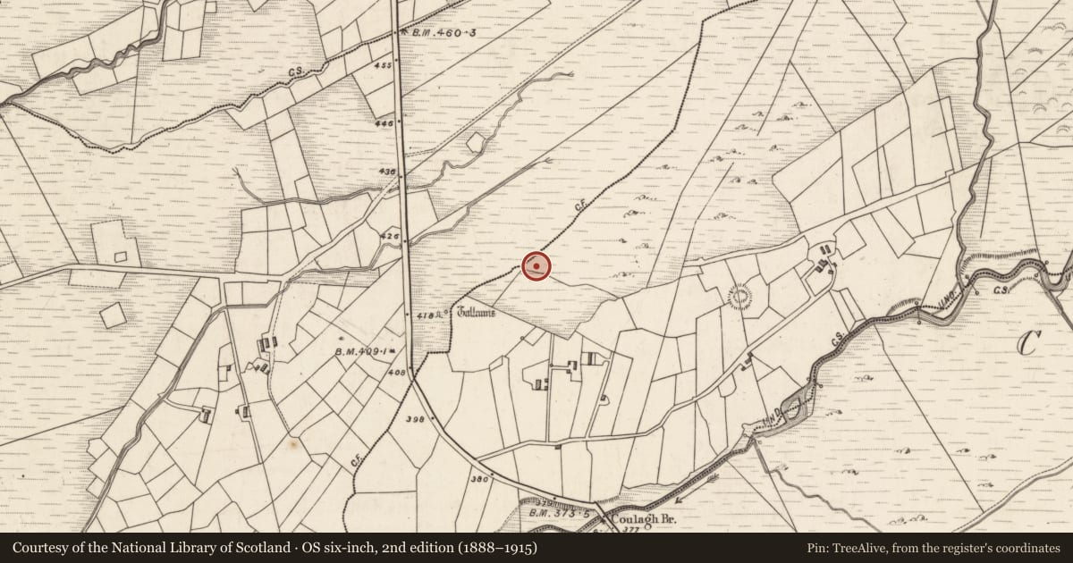 Ordnance Survey six-inch map, 2nd edition (1888–1915) covering the location of Rock art, Caherlehillan, County Kerry, with a pin at the register's coordinates