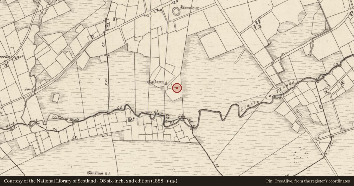 Ordnance Survey six-inch map, 2nd edition (1888–1915) covering the location of Ringfort - rath, Boulerdah, County Kerry, with a pin at the register's coordinates