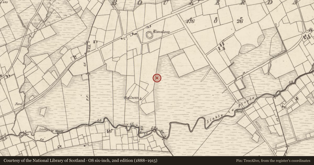 Ordnance Survey six-inch map, 2nd edition (1888–1915) covering the location of Souterrain, Boulerdah, County Kerry, with a pin at the register's coordinates