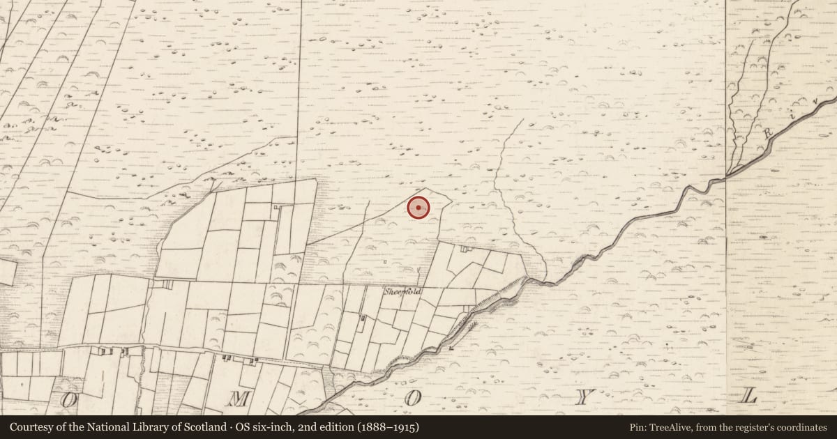 Ordnance Survey six-inch map, 2nd edition (1888–1915) covering the location of Field boundary, Teeromoyle, County Kerry, with a pin at the register's coordinates