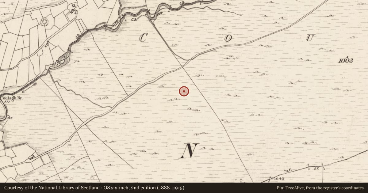 Ordnance Survey six-inch map, 2nd edition (1888–1915) covering the location of Field system, Coulagh, Teeromoyle, County Kerry, with a pin at the register's coordinates