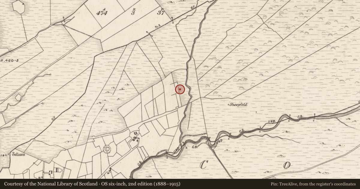 Ordnance Survey six-inch map, 2nd edition (1888–1915) covering the location of Field system, Caherlehillan, County Kerry, with a pin at the register's coordinates