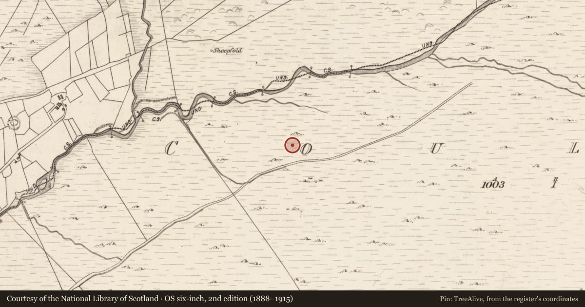 Ordnance Survey six-inch map, 2nd edition (1888–1915) covering the location of Hut site, Coulagh, County Kerry, with a pin at the register's coordinates