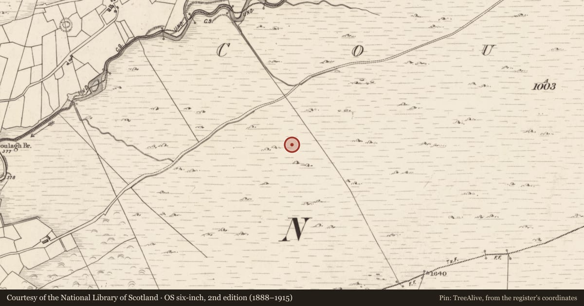 Ordnance Survey six-inch map, 2nd edition (1888–1915) covering the location of Hut site, Coulagh, County Kerry, with a pin at the register's coordinates