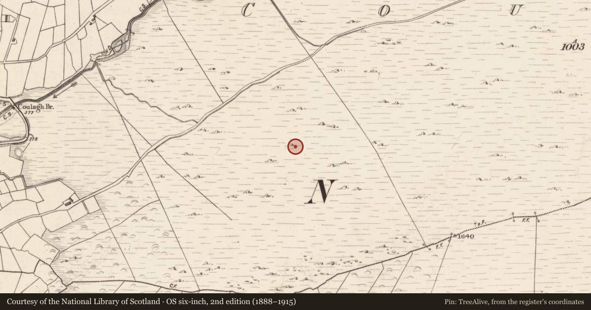 Ordnance Survey six-inch map, 2nd edition (1888–1915) covering the location of Hut site, Coulagh, County Kerry, with a pin at the register's coordinates
