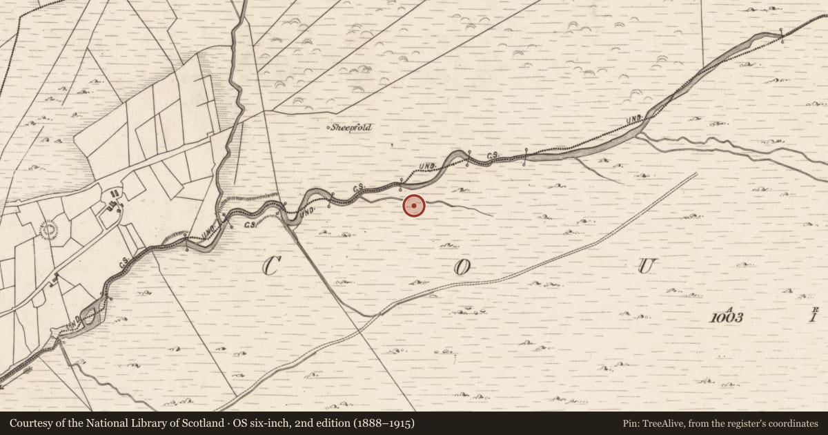 Ordnance Survey six-inch map, 2nd edition (1888–1915) covering the location of Hut site, Coulagh, County Kerry, with a pin at the register's coordinates