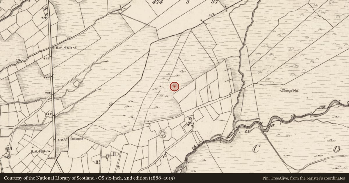 Ordnance Survey six-inch map, 2nd edition (1888–1915) covering the location of Hut site, Caherlehillan, County Kerry, with a pin at the register's coordinates