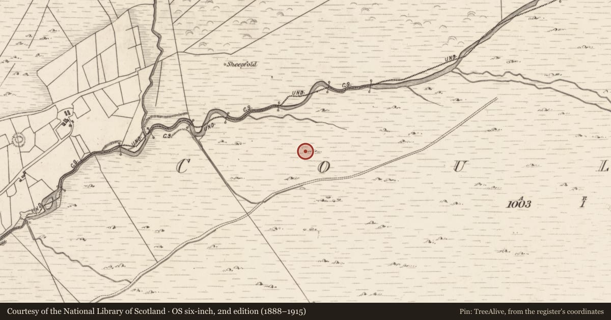 Ordnance Survey six-inch map, 2nd edition (1888–1915) covering the location of Hut site, Coulagh, County Kerry, with a pin at the register's coordinates