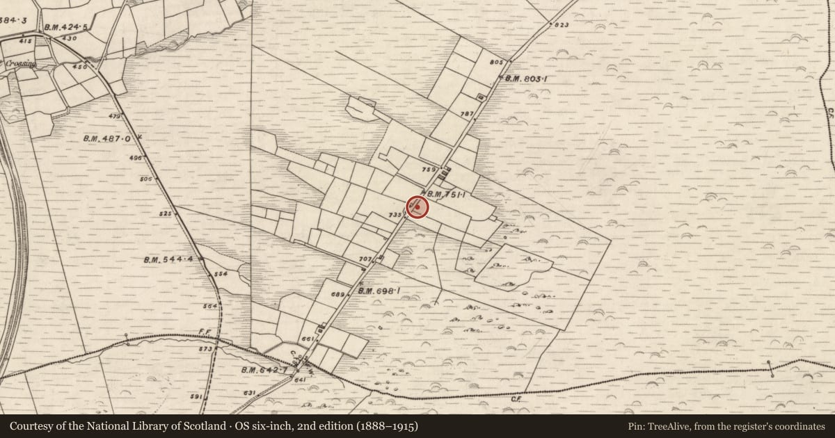 Ordnance Survey six-inch map, 2nd edition (1888–1915) covering the location of Standing stone, Knockaneyouloo, County Kerry, with a pin at the register's coordinates