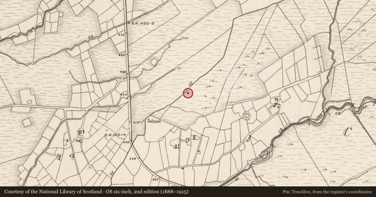 Ordnance Survey six-inch map, 2nd edition (1888–1915) covering the location of Rock art, Caherlehillan, County Kerry, with a pin at the register's coordinates