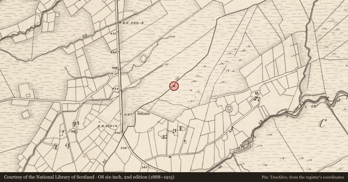 Ordnance Survey six-inch map, 2nd edition (1888–1915) covering the location of Rock art, Caherlehillan, County Kerry, with a pin at the register's coordinates