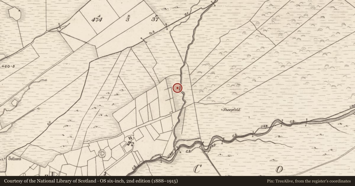 Ordnance Survey six-inch map, 2nd edition (1888–1915) covering the location of Sweathouse, Caherlehillan, County Kerry, with a pin at the register's coordinates