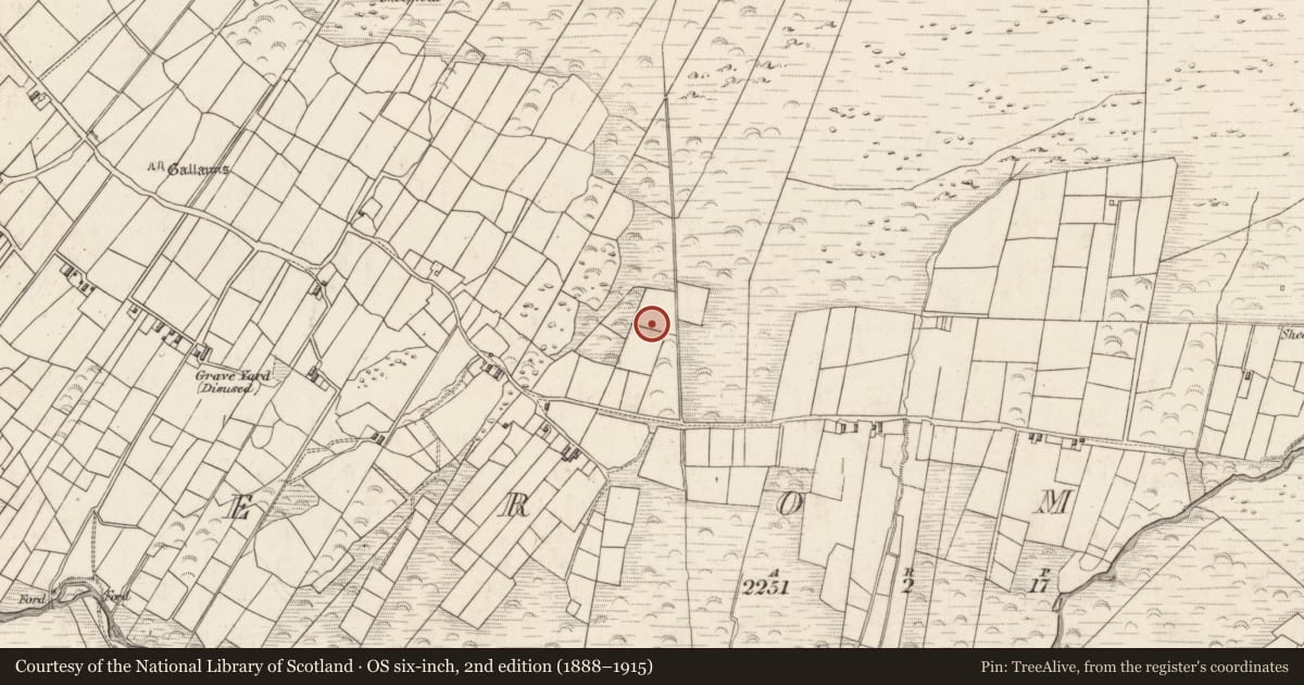 Ordnance Survey six-inch map, 2nd edition (1888–1915) covering the location of Sweathouse, Teeromoyle, County Kerry, with a pin at the register's coordinates