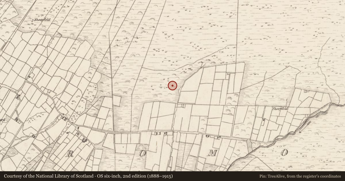 Ordnance Survey six-inch map, 2nd edition (1888–1915) covering the location of Rock art, Teeromoyle, County Kerry, with a pin at the register's coordinates