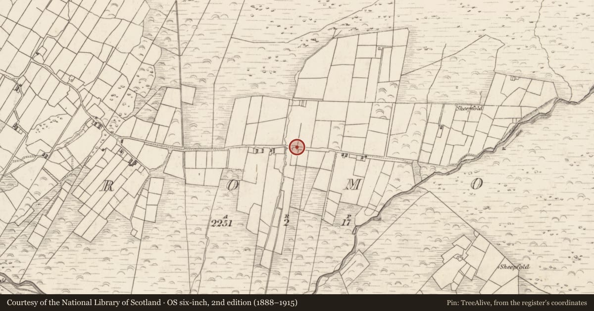 Ordnance Survey six-inch map, 2nd edition (1888–1915) covering the location of Rock art, Teeromoyle, County Kerry, with a pin at the register's coordinates