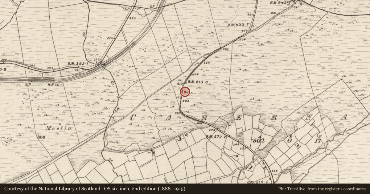 Ordnance Survey six-inch map, 2nd edition (1888–1915) covering the location of Rock art, Cahernaman, County Kerry, with a pin at the register's coordinates