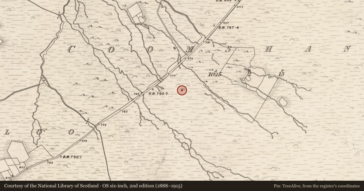 Ordnance Survey six-inch map, 2nd edition (1888–1915) covering the location of Rock art, Coomshanna, County Kerry, with a pin at the register's coordinates
