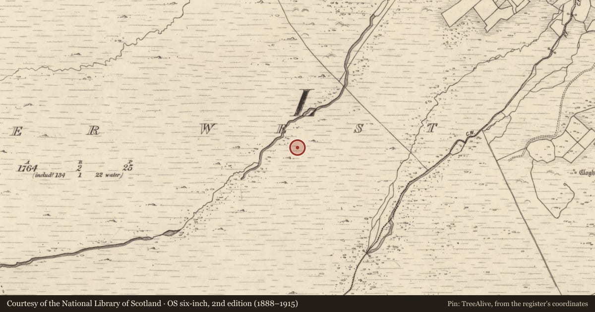 Ordnance Survey six-inch map, 2nd edition (1888–1915) covering the location of Rock art, Letter West, County Kerry, with a pin at the register's coordinates