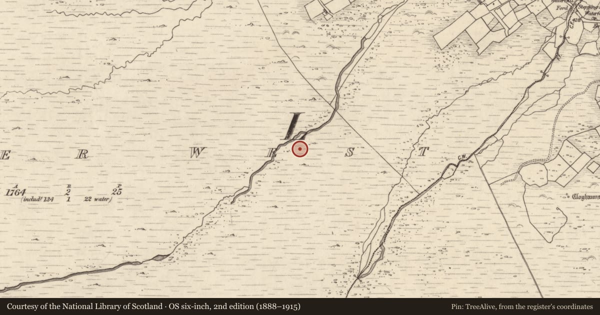 Ordnance Survey six-inch map, 2nd edition (1888–1915) covering the location of Rock art, Letter West, County Kerry, with a pin at the register's coordinates