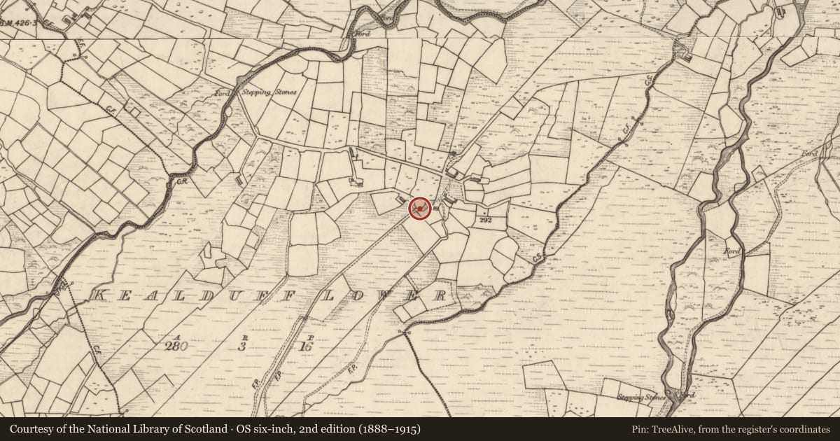 Ordnance Survey six-inch map, 2nd edition (1888–1915) covering the location of Enclosure, Kealduff Lower, County Kerry, with a pin at the register's coordinates