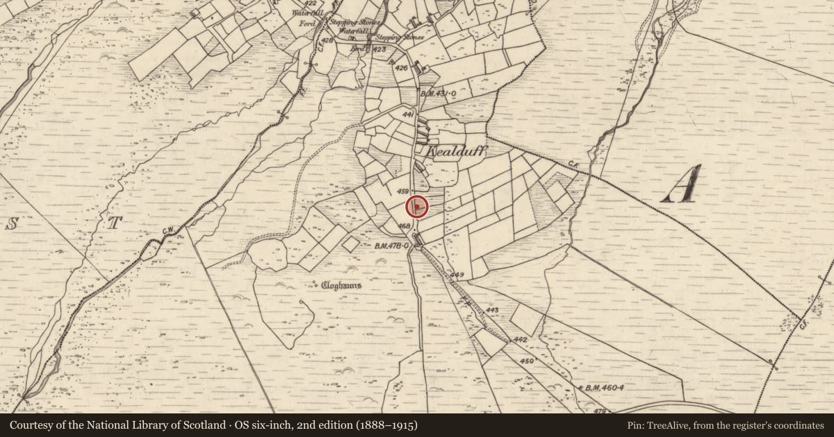Ordnance Survey six-inch map, 2nd edition (1888–1915) covering the location of Rock art, Kealduff Upper, County Kerry, with a pin at the register's coordinates