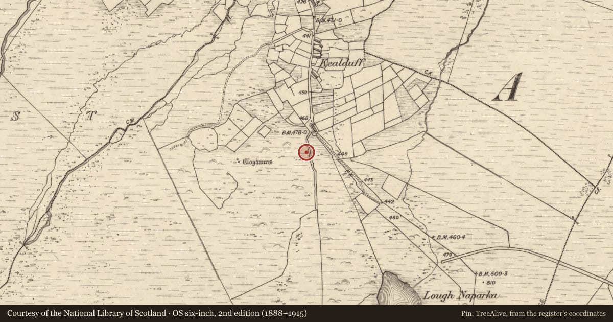 Ordnance Survey six-inch map, 2nd edition (1888–1915) covering the location of Rock art, Kealduff Upper, County Kerry, with a pin at the register's coordinates