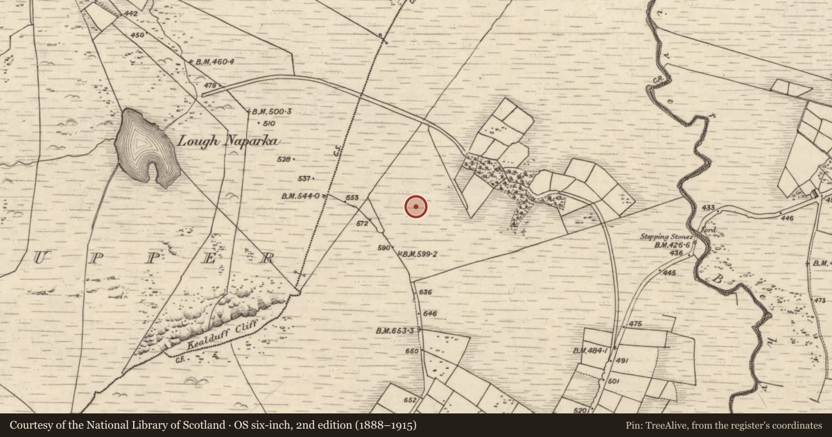 Ordnance Survey six-inch map, 2nd edition (1888–1915) covering the location of Field boundary, Coomasaharn, Kealduff Upper, County Kerry, with a pin at the register's coordinates