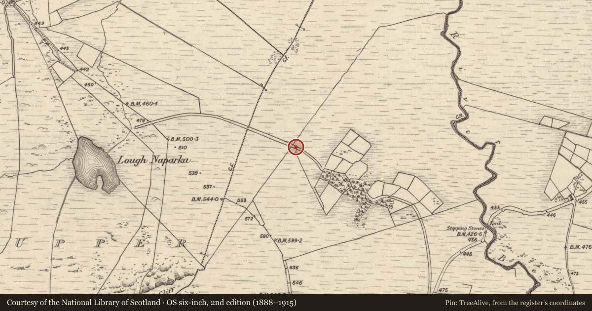 Ordnance Survey six-inch map, 2nd edition (1888–1915) covering the location of Rock art, Coomasaharn, County Kerry, with a pin at the register's coordinates