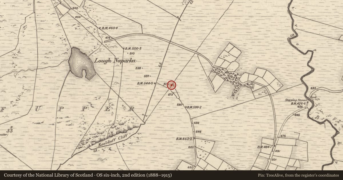 Ordnance Survey six-inch map, 2nd edition (1888–1915) covering the location of Rock art, Coomasaharn, County Kerry, with a pin at the register's coordinates