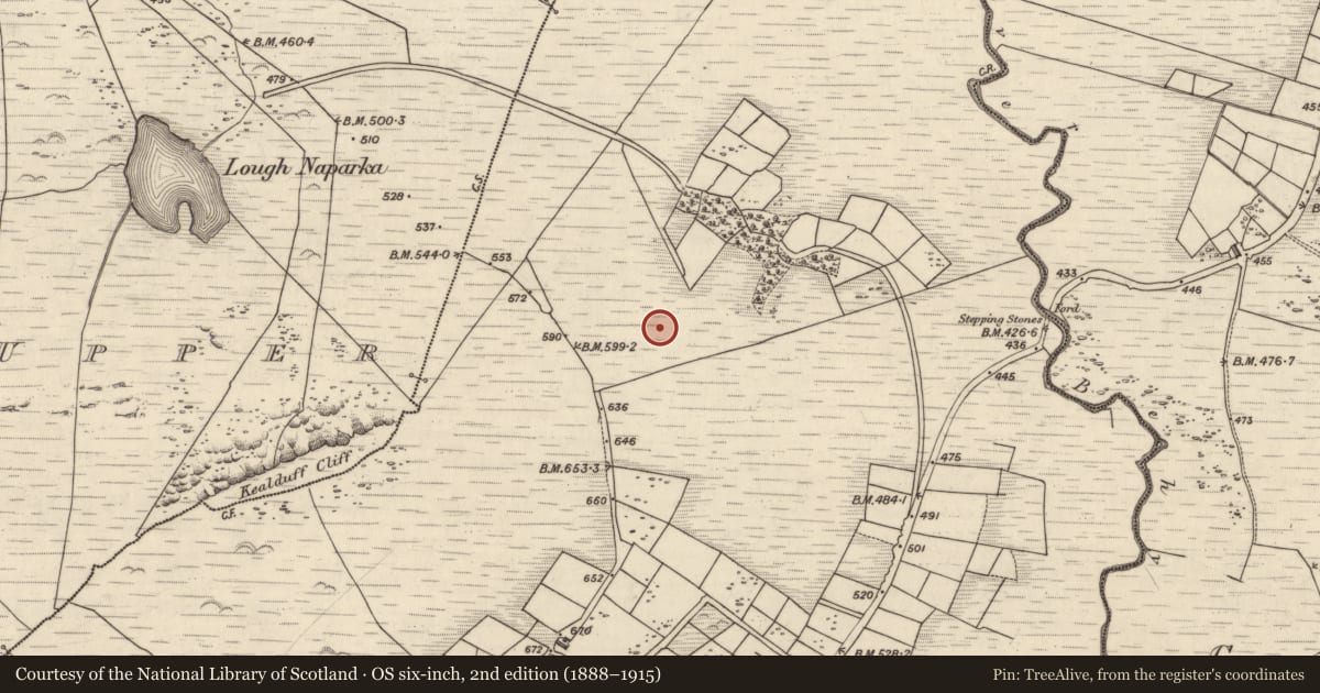 Ordnance Survey six-inch map, 2nd edition (1888–1915) covering the location of Rock art, Coomasaharn, County Kerry, with a pin at the register's coordinates